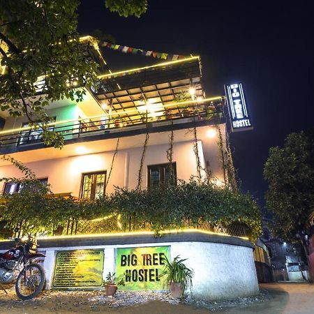 Big Tree Hostel Kathmandu Exterior foto